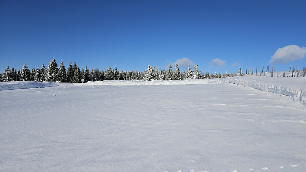 Ikke mange biler på parkeringsplassen når vi startet turen