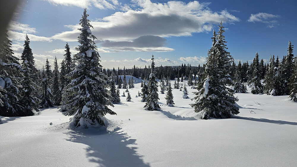 Flotte forhold i dag