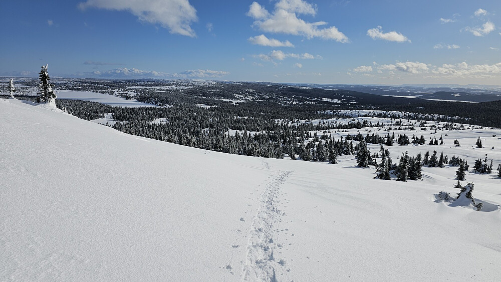 På fjellet ble det tøffere med å brøyte eget spor og vinden var frisk. Heldigvis varmet sola godt