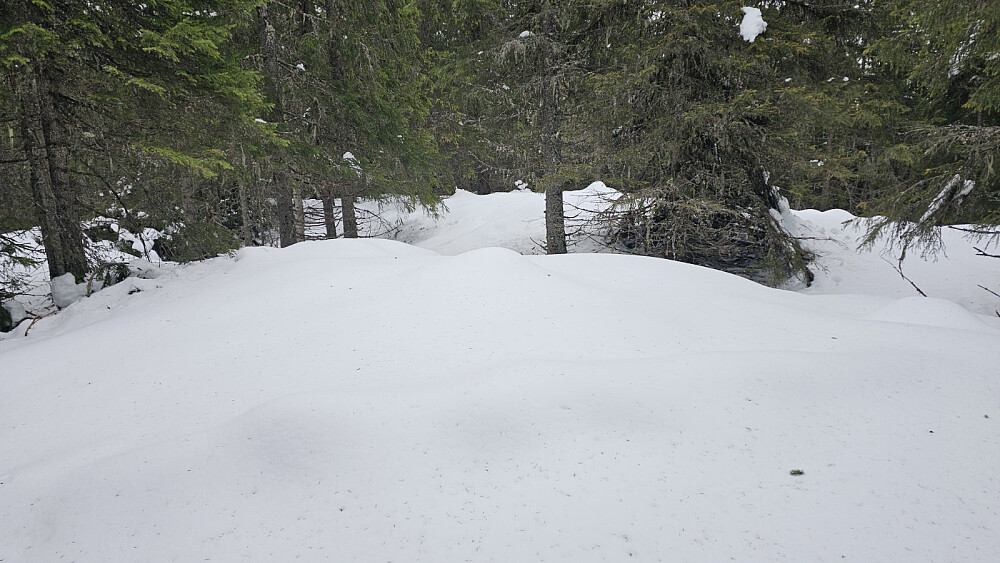 Urørt snø på høyeste punkt