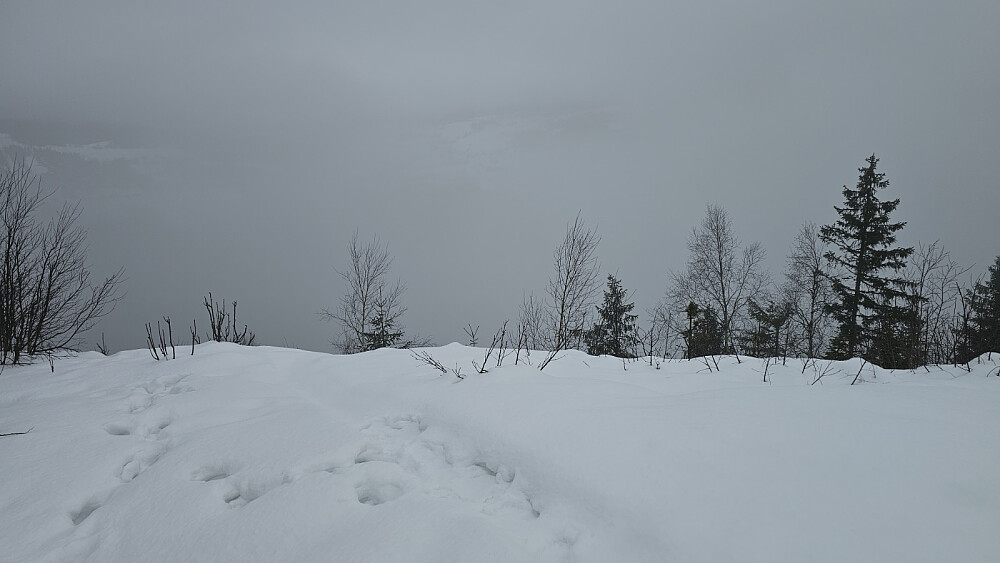 Null utsikt fra toppen i dag