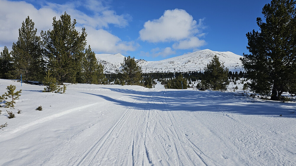 Litt kjedelig innmarsj på preparert løype, men flott utsikt opp på fjellet