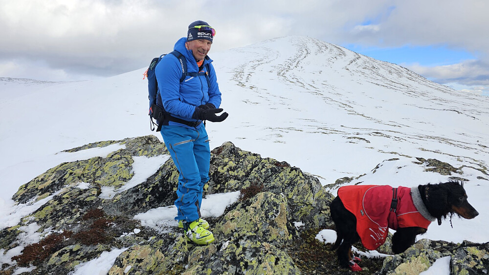 Fra toppen av Gravhornet og opp mot Vetlgråhøa og fjellsiden vi akte ned
