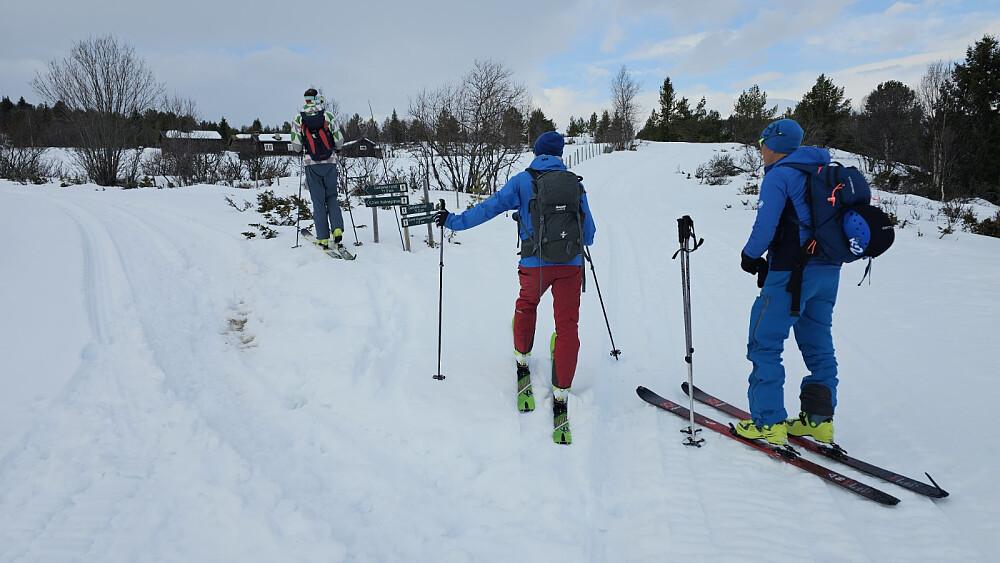 Vi fulgte veien et stykke i starten før vi tok av inn sommerstien opp gjennom skogen