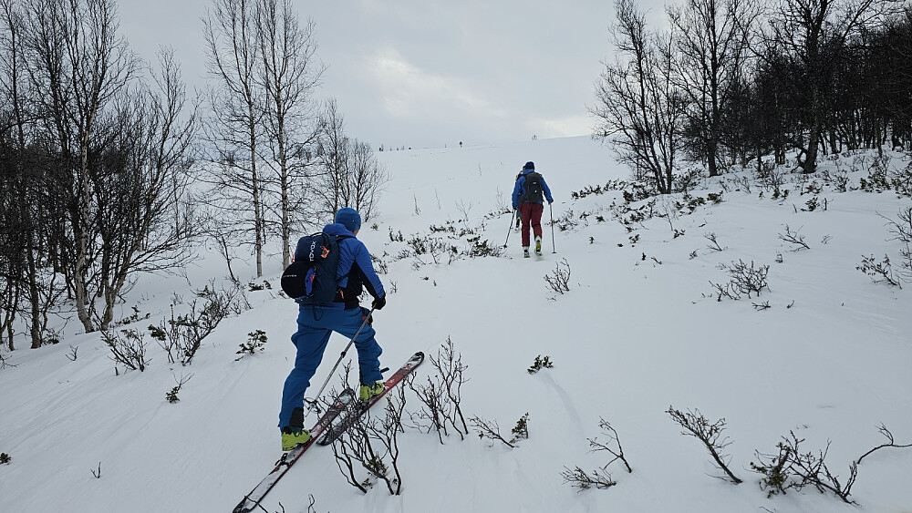 Det var et gammelt scooterspor opp stien, så det bar bra. Oppe av skogen var det hard snø videre og lett å gå