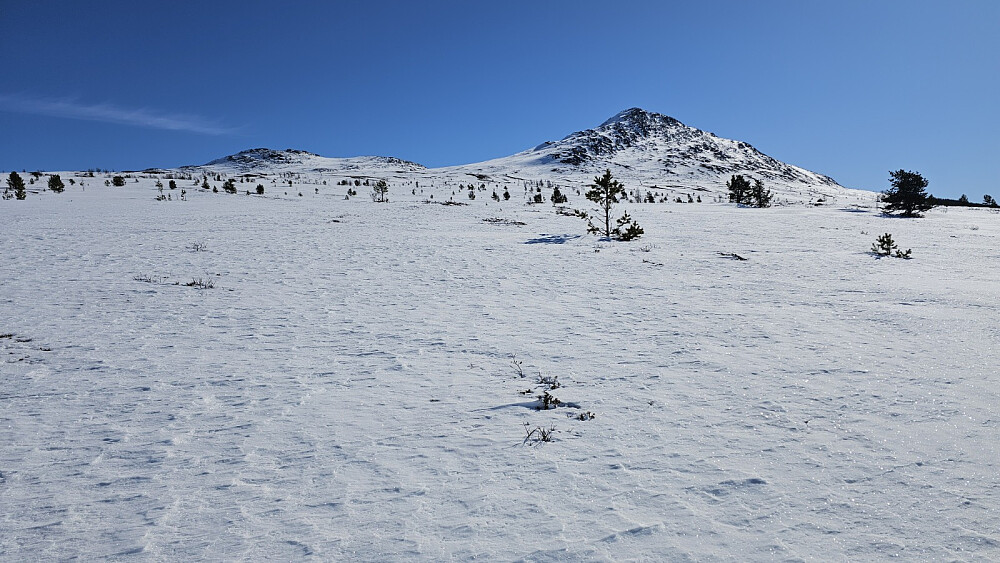 Ikke så mye snø, men den var hard og bar hele veien