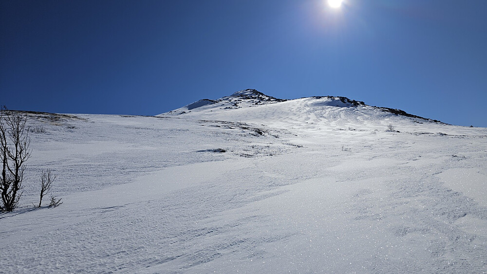 Perfekte forhold opp fjellet i dag. Trugene hadde veldig bra feste i den harde snøen