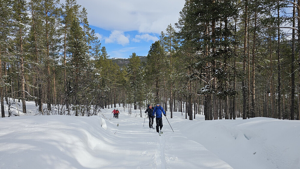 Det ble en tung tur i løssnø som var kram på toppen. Det gjorde at vi fikk noen skikkelige kladder under skiene