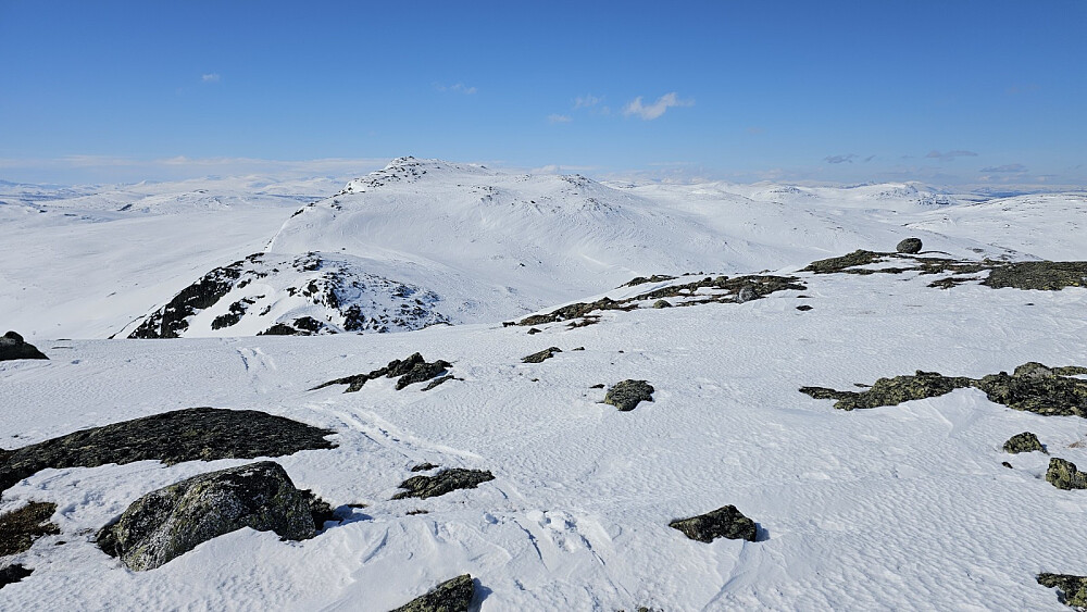 Fra Søre Leppkampen og tilbake mot Leppkampen