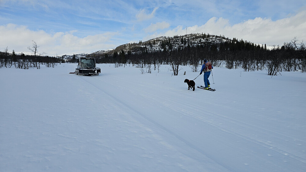 Vi hadde knapt kommet i gang med turen når vi møtte denne prepareringsmaskinen. Hvem den preparerer løyper for kan man jo undres over