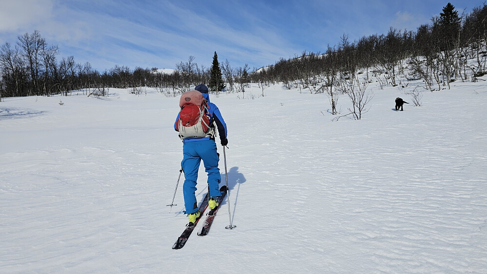 Det ble en liten avstikker opp på Gruvfjellet og Jentfjellet