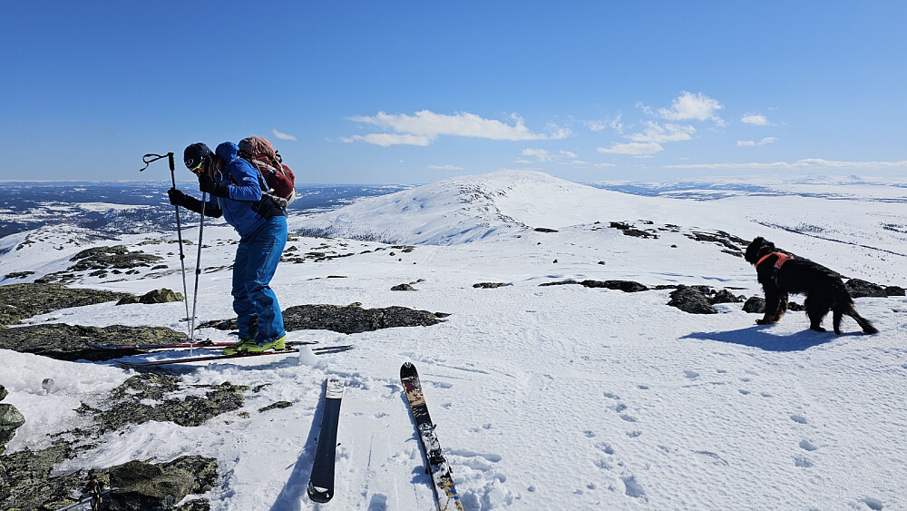 Fra Søre Leppkampen og med Ognsjøfjellet i bakgrunnen