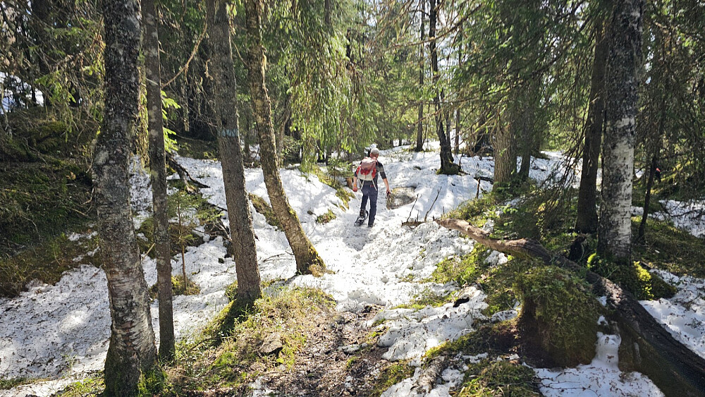 Det ble en tung tur på delvis råtten snø på returen. Vi klarte også å gå feil i et stikryss ved Migartjern, så turen ble lengre enn planlagt