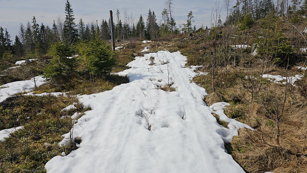 Ikke mye skiføre her lengre