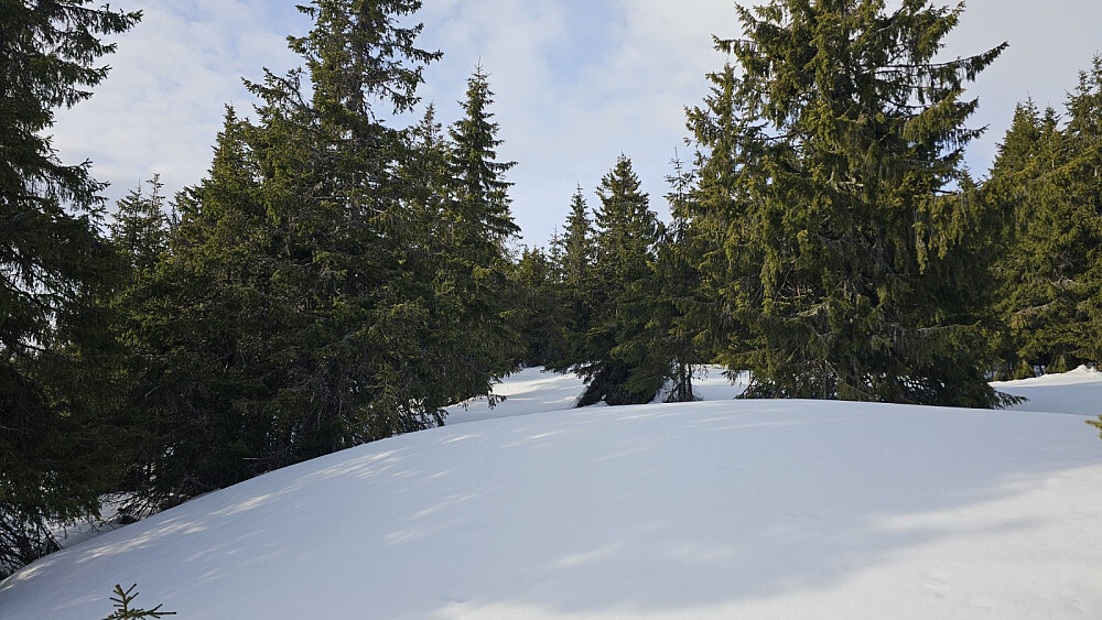 Snøen bar ganske bra men det ble noen gjennomtråkk her og der