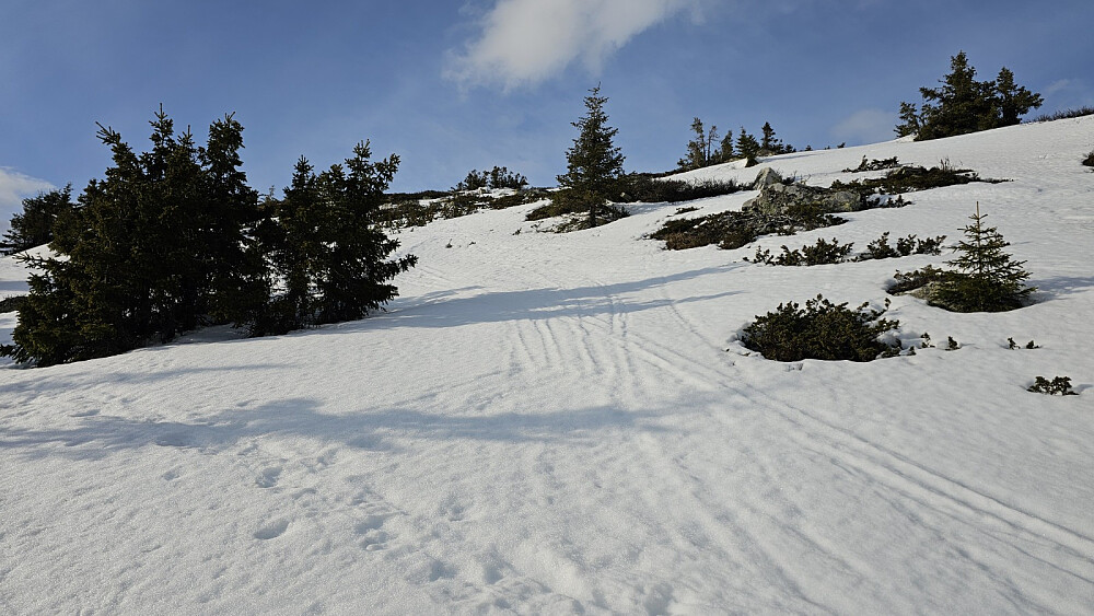 Flott vær og sola varmet godt