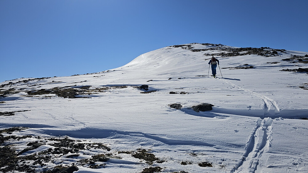 Det ble en avstikker opp på Kalvfjellet