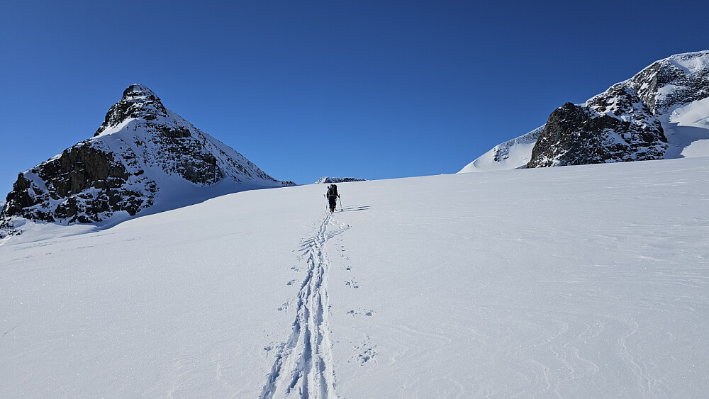 Tror ikke det kan bli bedre forhold enn det vi hadde i dag
