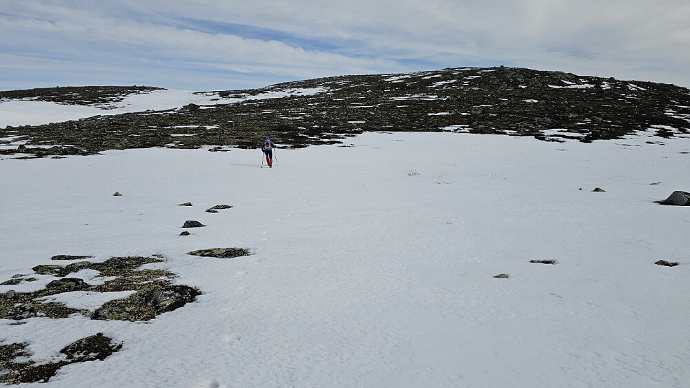 Vinden reiv godt i dag og kontrasten var stor i forhold til gårsdagens tur
