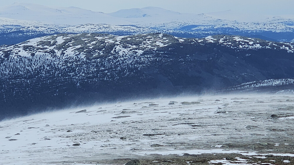 Til tross for at det var veldig hard snø, klarte vinden å blåse den løs, så snøføyka herjet på de mest utsatte punktene