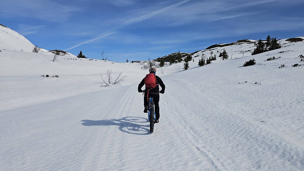 Etter en bratt start opp skogen, ble det flatere å sykle oppe på fjellet