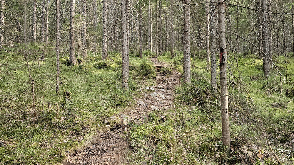 Stien til toppen var merket med rødt