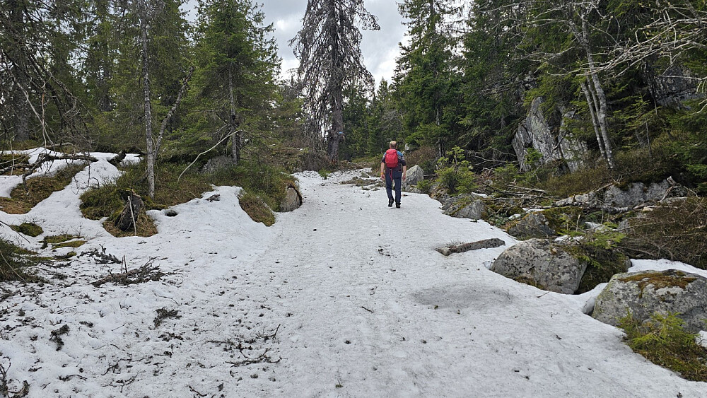 Snøen i skiløypa bar bra, og det var lett å gå