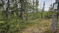 NJK500_20260509_69ff431e6a860.jpg