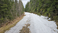 NJK500_20260509_69ff431e7214f.jpg