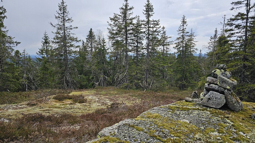 Liten markering på Kjerkeberget Norvest