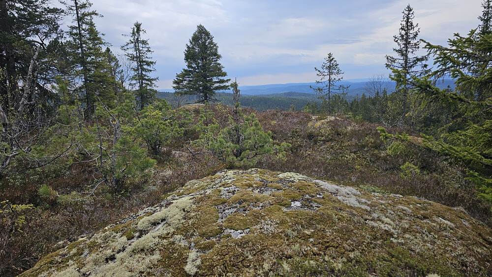 Høyeste punkt på Kampeknerten