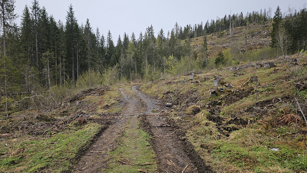 Fine forhold for sykkel opp lia her