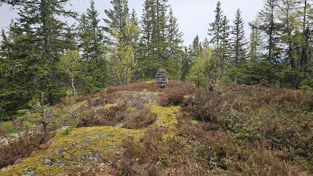 Høyeste punkt på Klevkollen