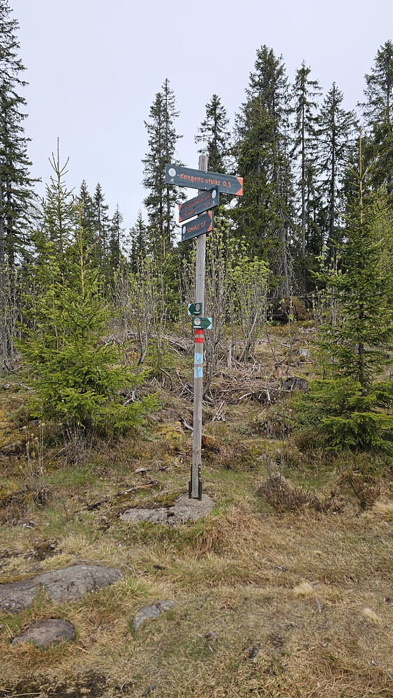 Jeg la returen bortom Kongens utsikt
