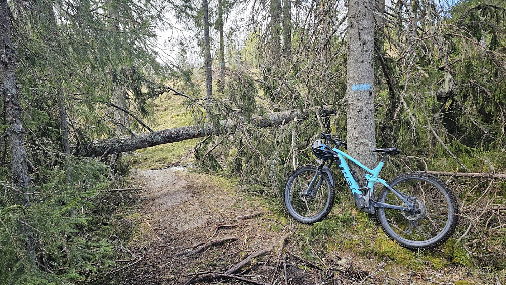Her ble sykkelen satt igjen
