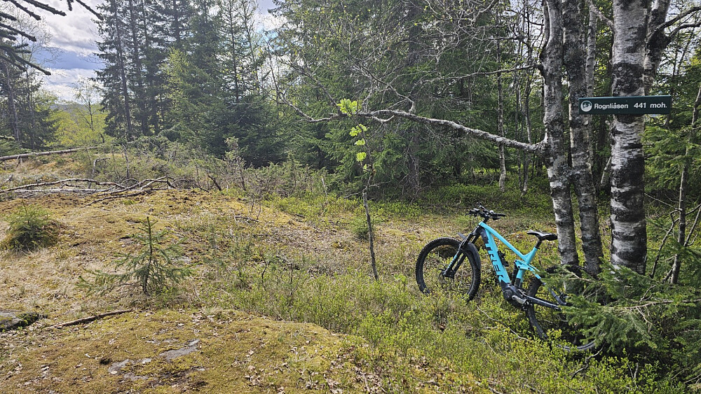 Fin sykkelsti helt til toppen