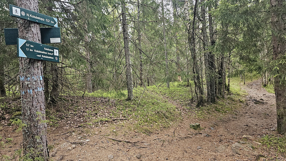 Bra skiltet i sti kryssene