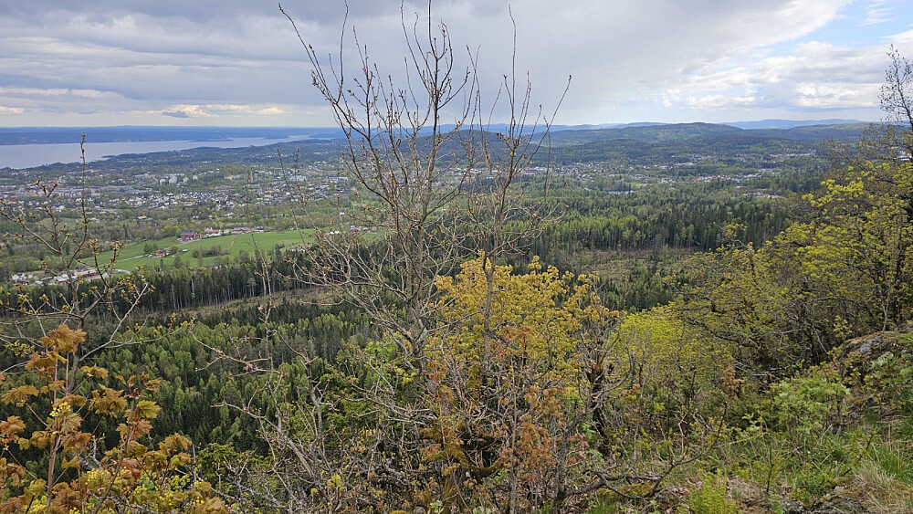 Utsikt fra Hagahogget