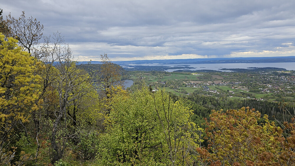 Utsikt mot Oslo