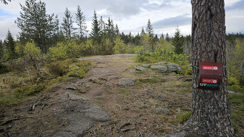 Toppen på Bergsåsen