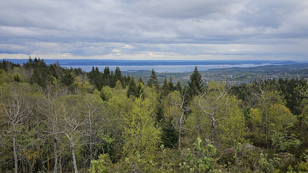 Utsikt ned på Oslofjorden
