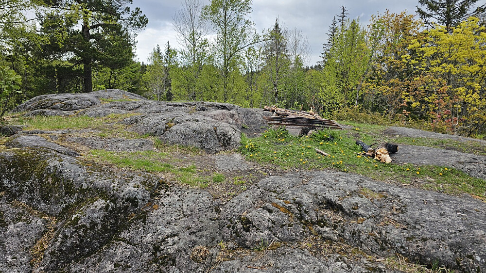 Høyeste punkt på Hagahogget