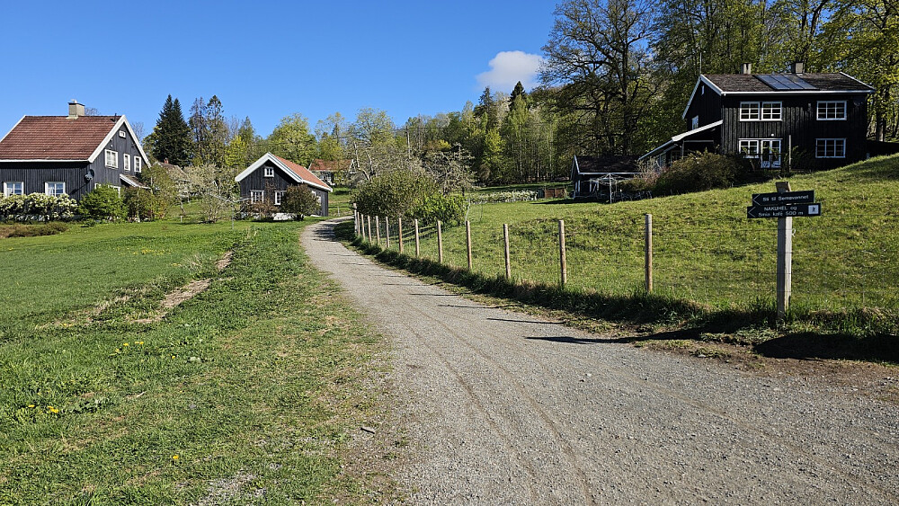 Veldig idyll opp stien i starten