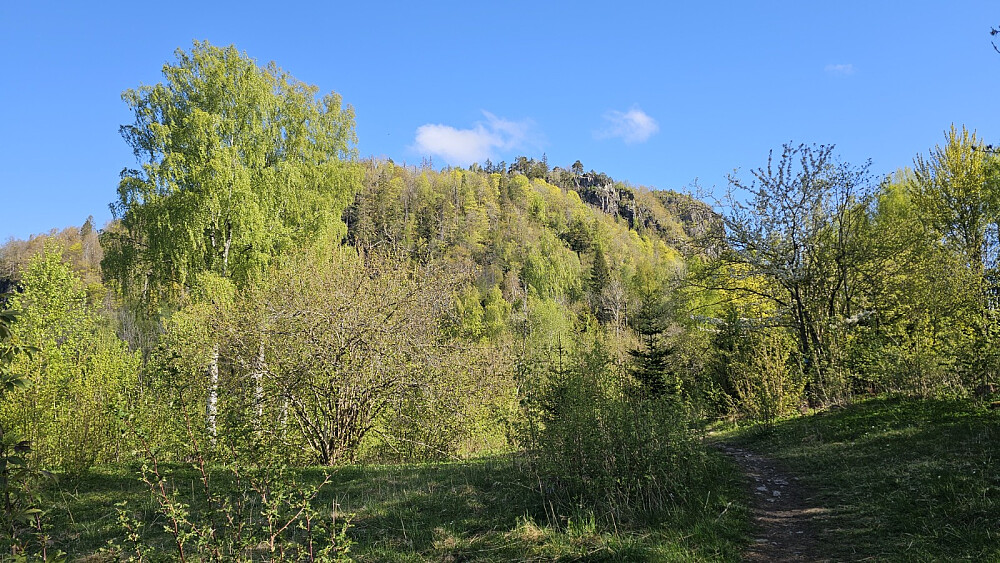 Stien jeg skulle følge gikk rett opp det bratte berget