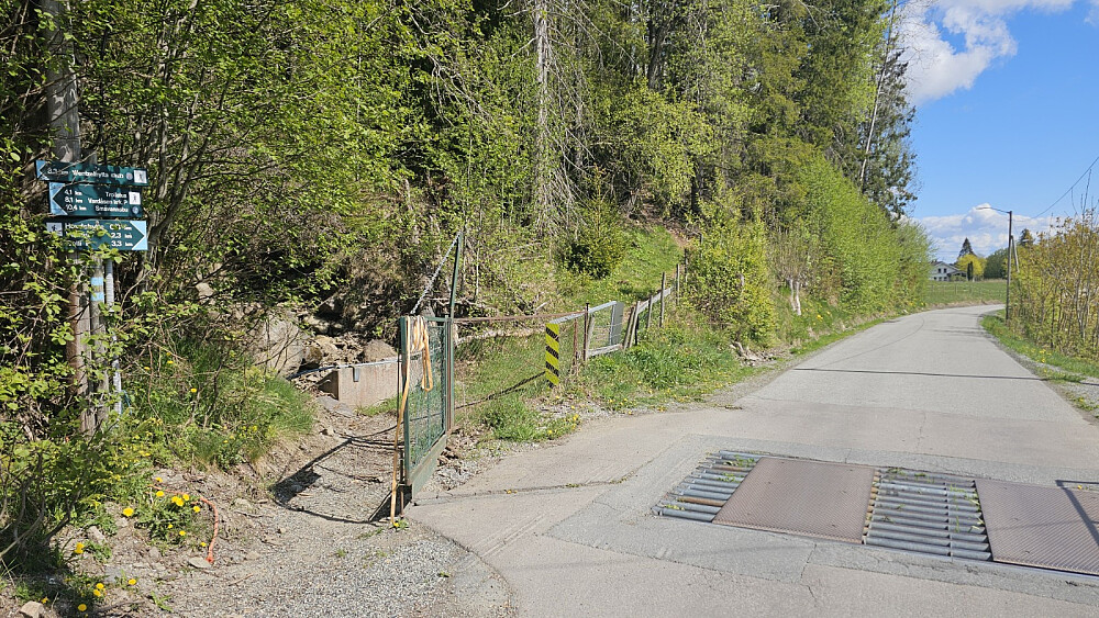 Ved ferista starter stien opp skogen