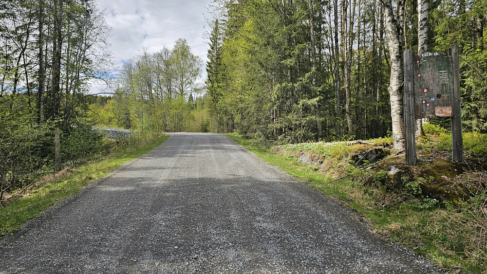 Rene motorveien inn skogen her