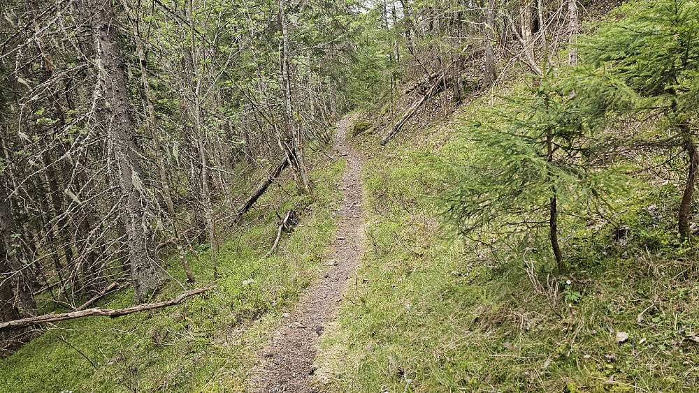 Her tok jeg av en sti gjennom skogen