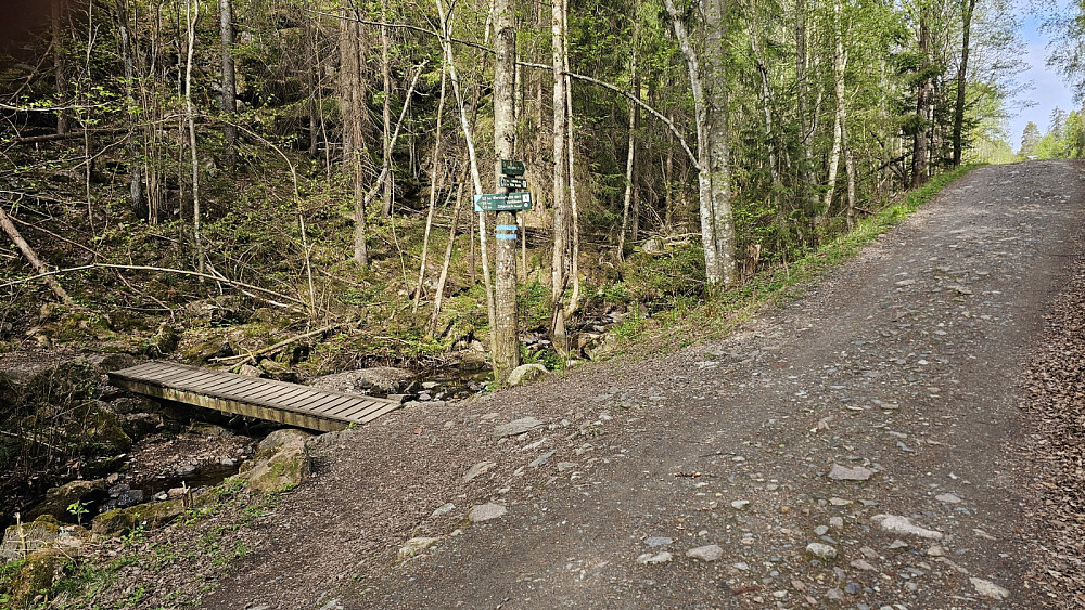 Her krysset stien lysløypa og jeg tok opp til venstre