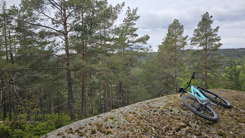 Høyeste punkt på Rødåsen