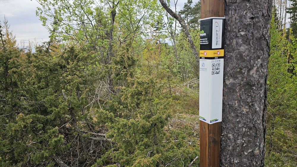 Svart stolpe på toppen av Stokkeråsen